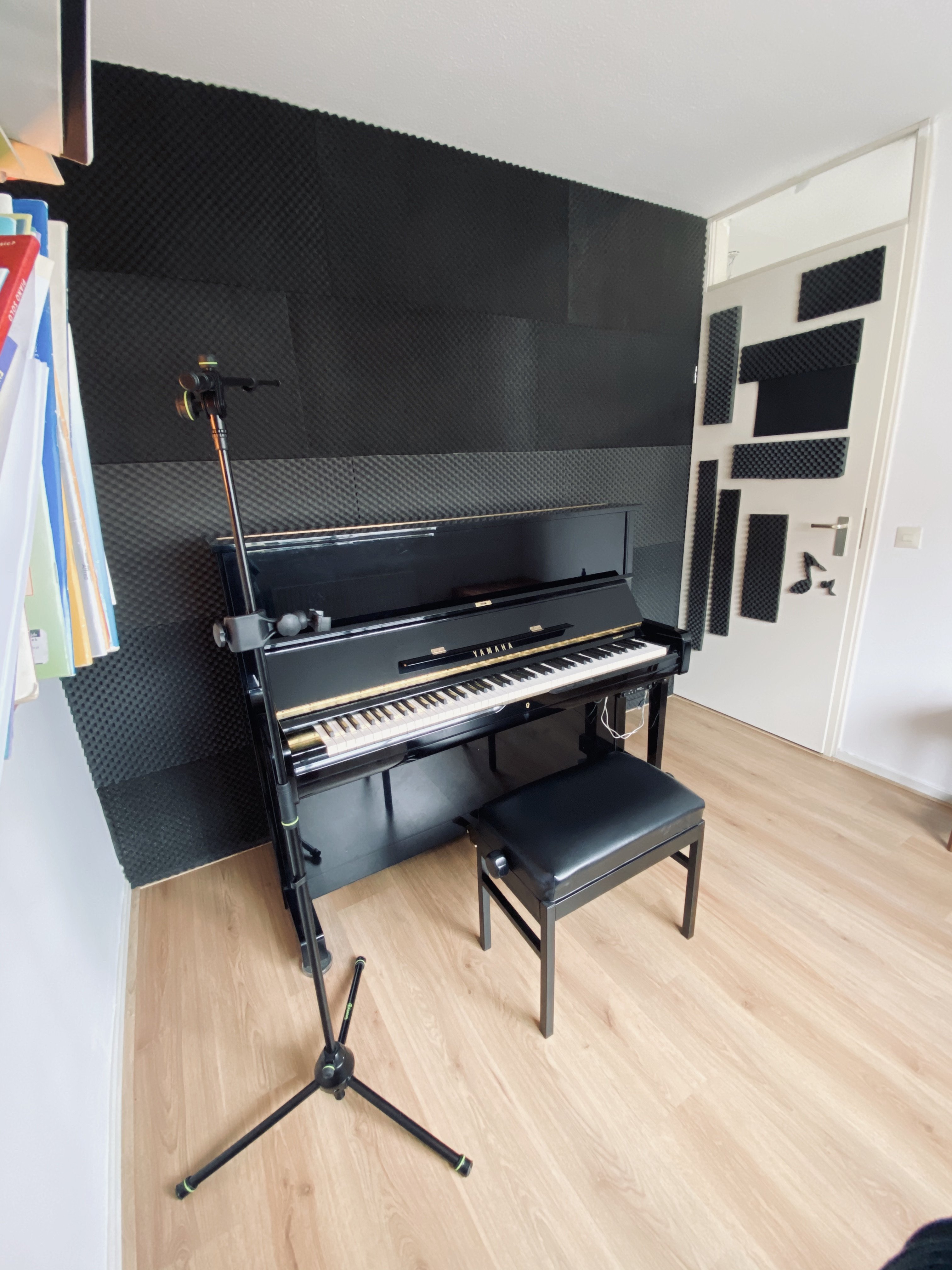 piano room selen