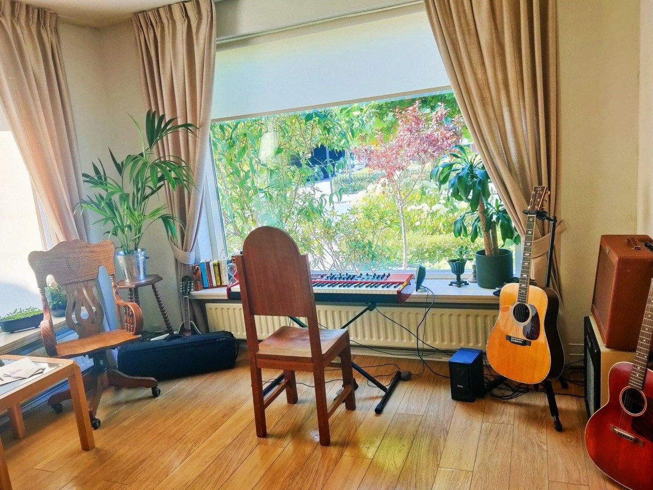 living-room-pic-2 Groot.jpeg