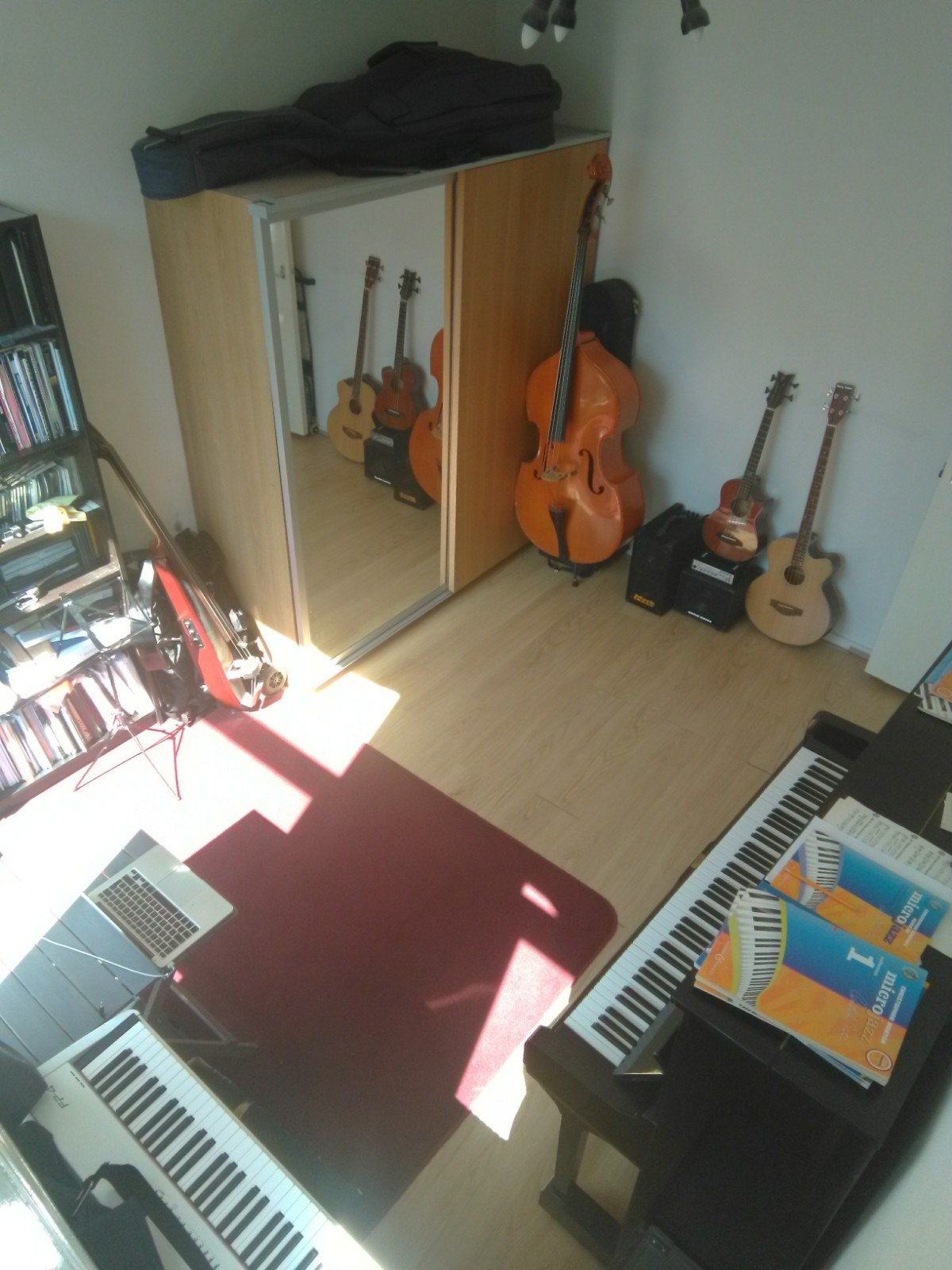 IMG_20200804_153300.jpeg